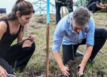 Córdoba, seleccionada para un fondo internacional de acción climática juvenil