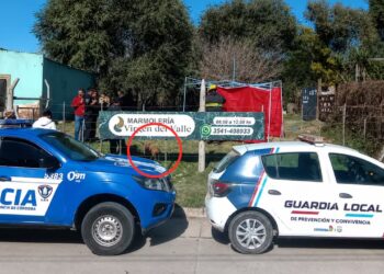Una niña de cuatro años fue atacada por un perro y murió
