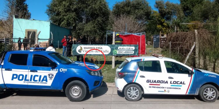 El perro en el lugar donde ocurrió el ataque fatal a la nena.
