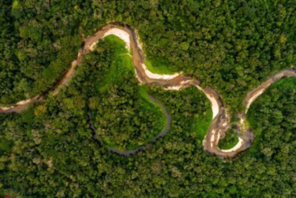 Mujeres amazónicas lideran proyectos de bioeconomía sostenible en Brasil