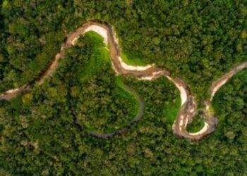 Mujeres amazónicas lideran proyectos de bioeconomía sostenible en Brasil