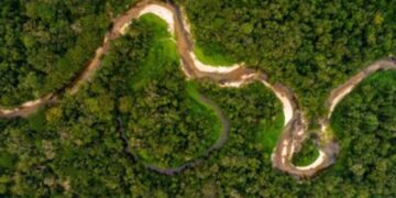 Mujeres amazónicas lideran proyectos de bioeconomía sostenible en Brasil