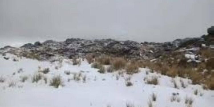 La intensa ola polar que afecta a gran parte de la provincia de Córdoba dejó este fin de semana una de las imágenes más esperadas del invierno anticipado: el Cerro Champaquí amaneció cubierto de nieve tras una madrugada marcada por temperaturas extremas.

En los sectores cercanos a la cima, los registros térmicos descendieron por debajo de los -2°C, favoreciendo la caída de nieve durante la noche y primeras horas del domingo. El fenómeno dejó un manto blanco en distintas áreas elevadas del cerro más alto de la provincia y generó impactantes postales compartidas por visitantes y residentes de la zona.

Las bajas temperaturas también se hicieron sentir en otros puntos de las Altas Cumbres, donde no se descarta que puedan repetirse nevadas aisladas a lo largo de la jornada debido a las condiciones climáticas persistentes.

El ingreso de aire polar provocó un marcado descenso térmico en toda la provincia y obligó a extremar cuidados, especialmente en rutas serranas y sectores de montaña donde las heladas podrían dificultar la circulación.

De acuerdo con el pronóstico del Servicio Meteorológico Nacional, el frío continuará durante los próximos días, aunque con algunos repuntes leves en las temperaturas máximas durante las tardes.

Para este lunes se esperan mínimas cercanas a los 5°C y máximas de hasta 15°C, con cielo parcialmente nublado y posibilidad de heladas en distintos puntos del territorio cordobés.

El martes se presentaría con condiciones similares, aunque con cielo despejado y temperaturas que oscilarían entre los 5°C y los 18°C. En tanto, para el miércoles se prevé una leve mejora en las mínimas, que podrían ubicarse alrededor de los 7°C.

La nieve en el Champaquí volvió a convertirse en uno de los principales atractivos del fin de semana y anticipa un invierno que comenzó a hacerse sentir antes de tiempo en las sierras cordobesas.