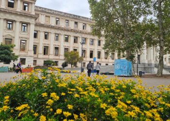 El TSJ frenó descuentos previsionales a una jubilada y limitó el aporte solidario