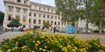 El TSJ frenó descuentos previsionales a una jubilada y limitó el aporte solidario El TSJ frenó descuentos previsionales a una jubilada y limitó el aporte solidario