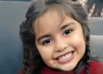 La querella pidió analizar el teléfono del abuelo paterno de Guadalupe Lucero Guadalupe Lucero.