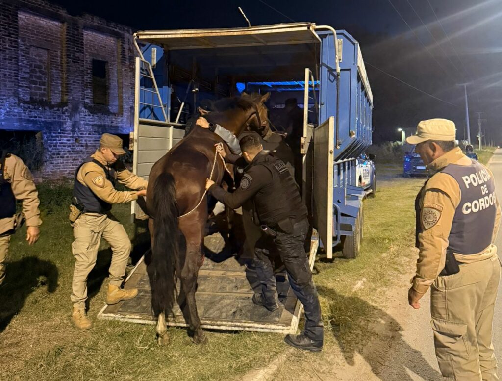 Detuvieron a tres hombres por caza ilegal de carpinchos y rescataron caballos heridos