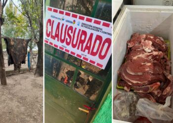 Clausuraron establecimientos por faenamiento clandestino