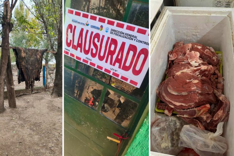Instalaciones destinadas al faenamiento y desposte de medias reses para su comercialización.