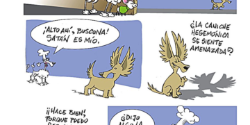 Tutuca 22.05.2026