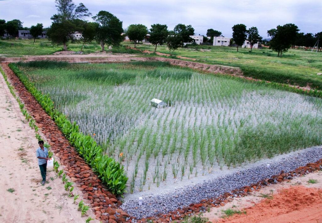 Hay que insistir con la implementación de humedales del agua