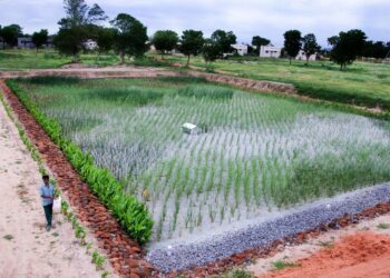 Hay que insistir con la implementación de humedales del agua