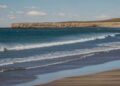 Preocupación en la Patagonia por la aparición de pingüinos muertos en las playas