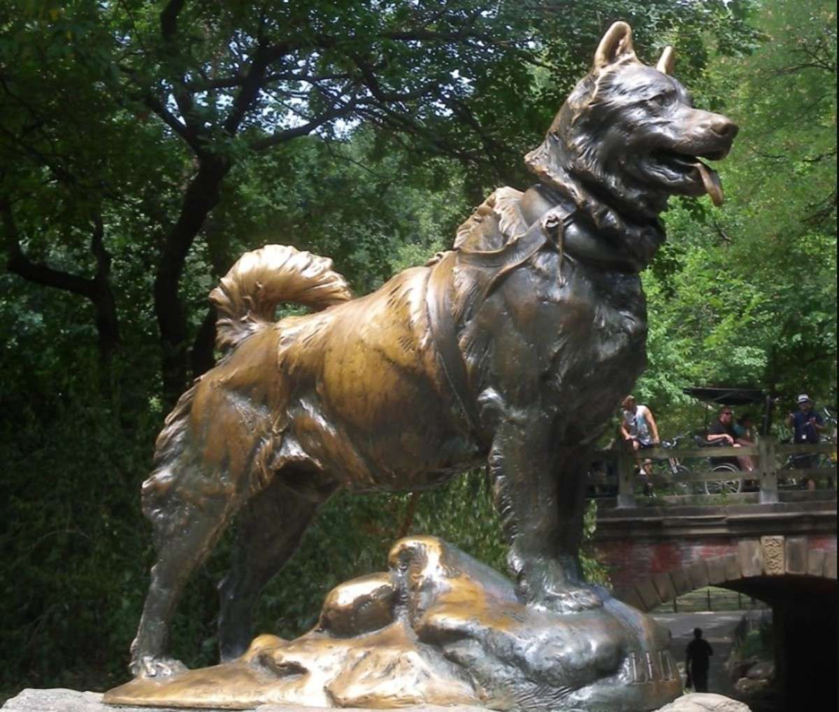 Chonino, el héroe de cuatro patas que le dio nombre a una fecha