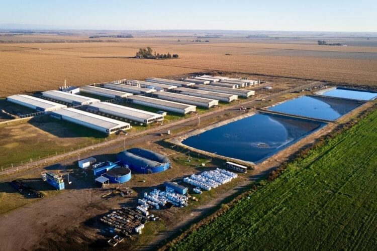 La planta de 3C Biogás S.A. está ubicada en General Cabrera.