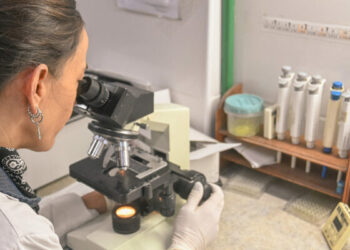 Laboratorio