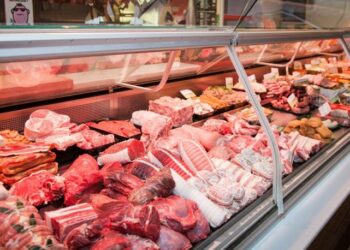 Carne