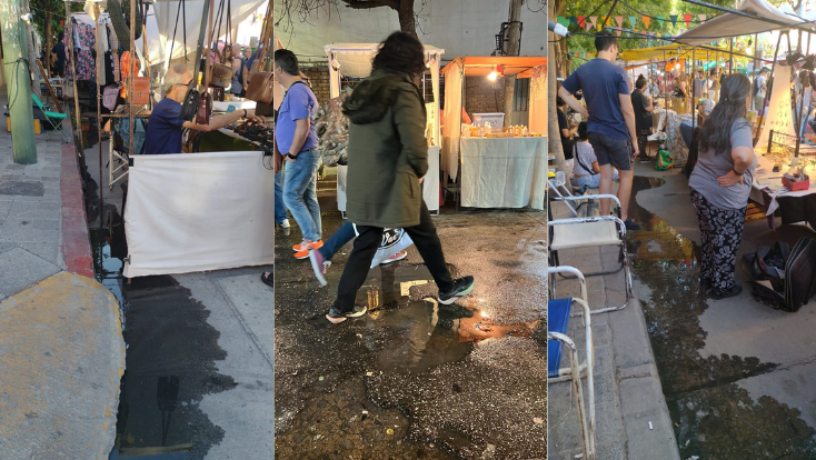 Güemes: puestos de la feria conviven con aguas servidas y esperan respuestas del municipio Feria