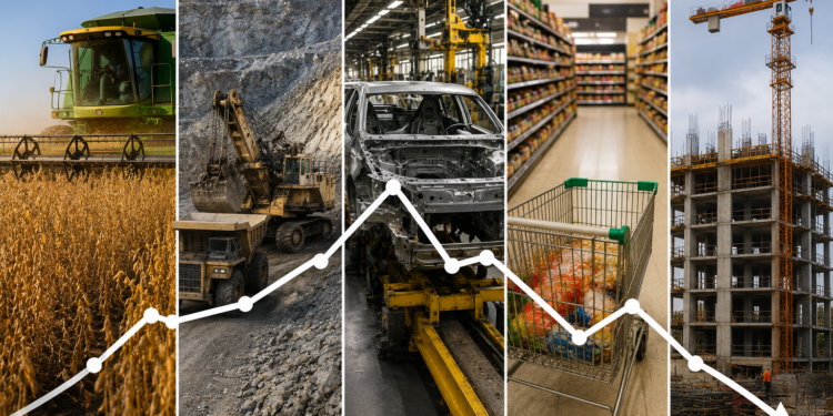 Actividad económica