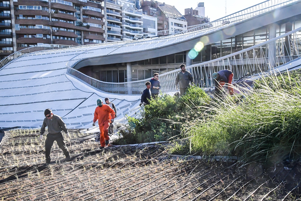 Avanza la construcción de la cubierta verde en el Centro Cultural Córdoba La ciudad ganará así un nuevo espacio verde de más de 4.500 metros cuadrados que los visitantes podrán recorrer y admirar.