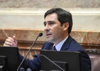 Martín Goerling, jefe del bloque PRO en el Senado de la Nación.