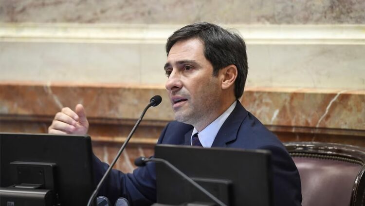 Martín Goerling, jefe del bloque PRO en el Senado de la Nación.