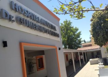 Murió una beba de dos meses y la madre quedó detenida