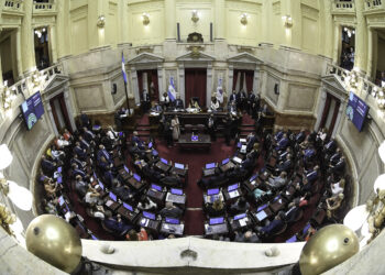 senado
