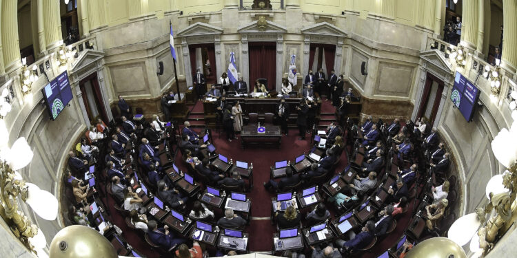 El Senado debatirá la eliminación de restricciones para la compra de tierras por extranjeros, cambios en desalojos y expropiaciones, y un acuerdo por US$171 millones con fondos buitre.