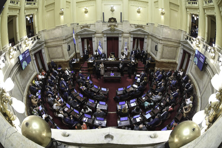 Pliego de Michelli: el Senado sesionará pero postergó el tratamiento de la candidata a jueza senado