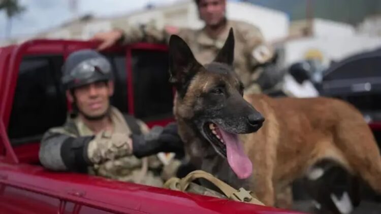 Bart forma parte de la Agrupación Perros de Guerra de la Armada Argentina.