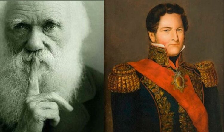 Foto de archivo de Darwin y Rosas.