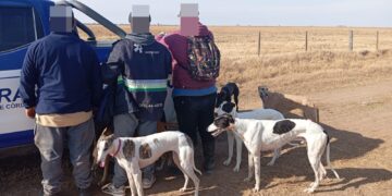 Detuvieron a quince cazadores furtivos en distintos operativos en la provincia Como resultado, se reguardaron 33 perros utilizados para la actividad ilegal y se secuestraron tres vehículos.