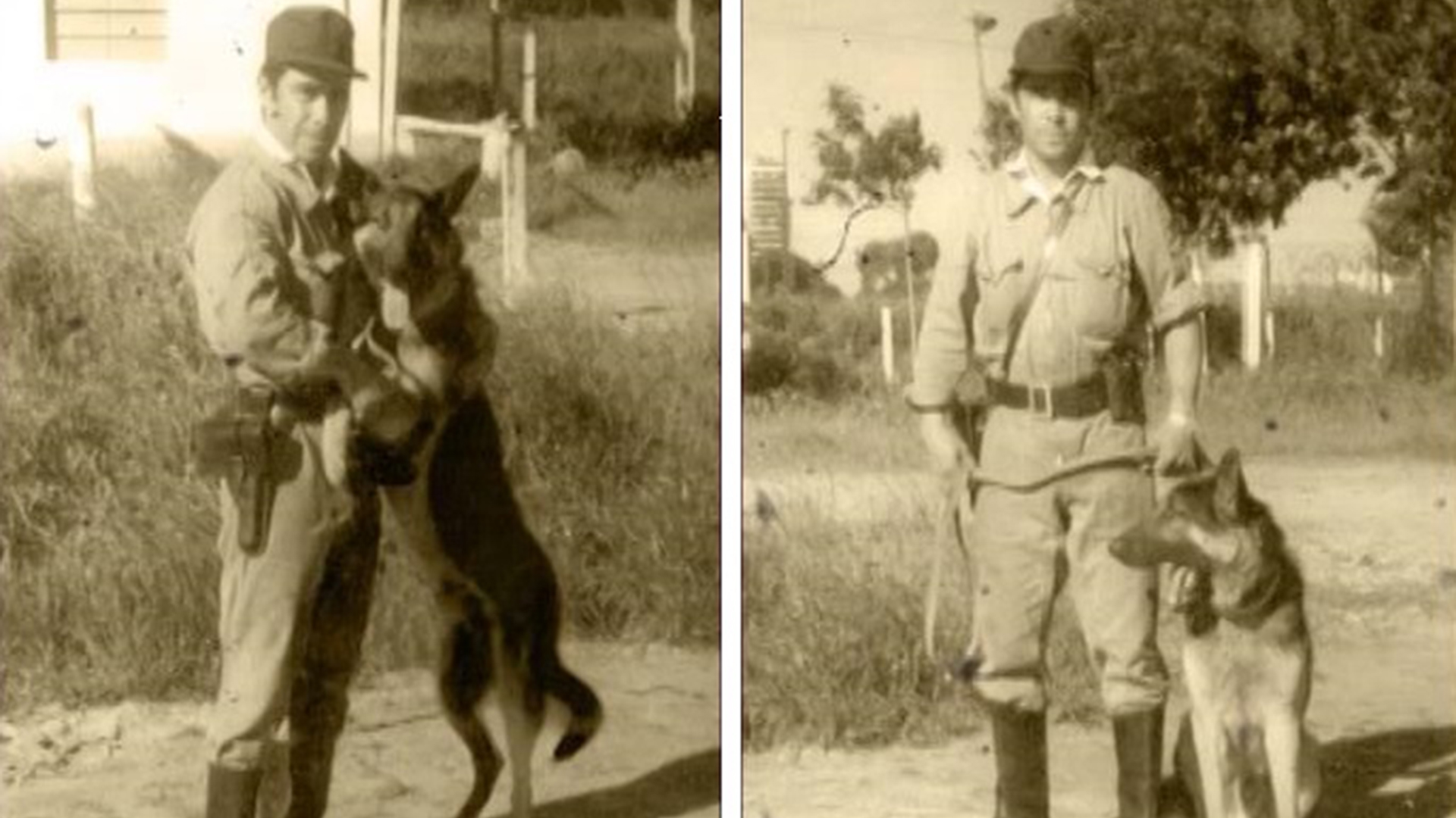 Chonino, el héroe de cuatro patas que le dio nombre a una fecha