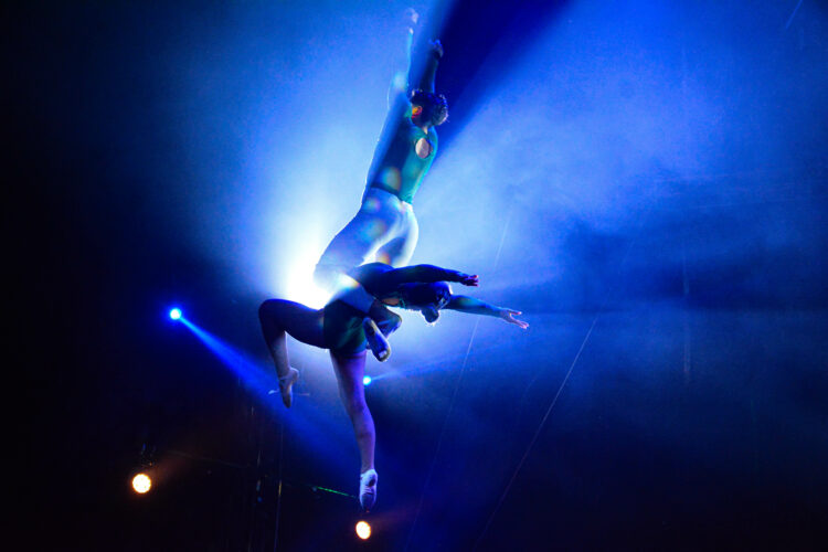 Todo sobre el Circo Mundial que llega a la Colón El Circo Mundial estrenará su nueva temporada en Av. Colón 4800 (Playa Carrefour) con una propuesta para toda la familia que reúne tradición, adrenalina, humor, danza, magia y grandes atracciones internacionales.