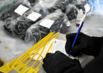 Durante los operativos se incautaron drogas, dinero, un arma de fuego y dos vehículos.