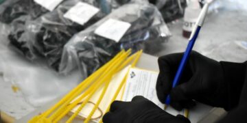Durante los operativos se incautaron drogas, dinero, un arma de fuego y dos vehículos.
