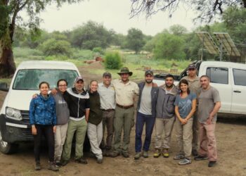El descubrimiento de una nueva especie de roedor que comenzó con relatos locales
