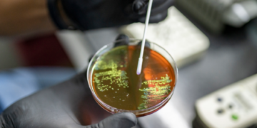 Investigadores de la UNC crean alternativas para combatir infecciones resistentes Investigadores de la UNC crean alternativas para combatir infecciones resistentes