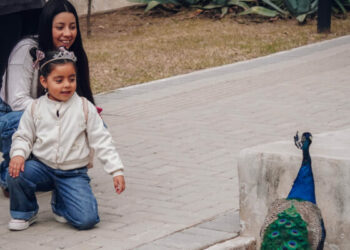 Algunas de las actividades tienen cupos limitados, por lo que requieren inscripción previa.