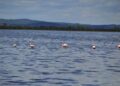 Laguna de Pocho