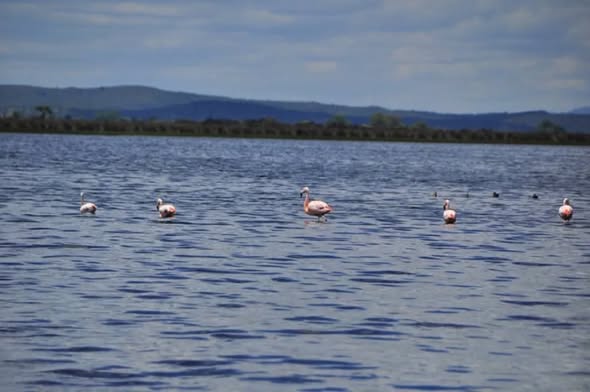 Avanza el proyecto para declarar Monumento Natural a la Laguna de Pocho Laguna de Pocho