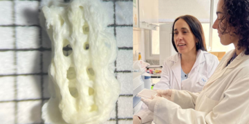 Científicas de la UNC crean parches del tamaño de un arroz contra el glaucoma UNC