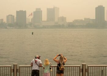 Cómo estará el clima en Nueva York para la final del Mundial 2026 Cómo estará el clima en Nueva York para la final del Mundial 2026