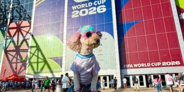 De Córdoba al mundo: la caniche "Brigitte" que se volvió tendencia en el Mundial Caniche