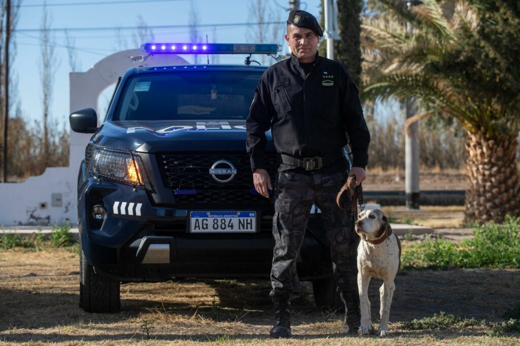 Perros
