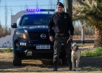 Perros