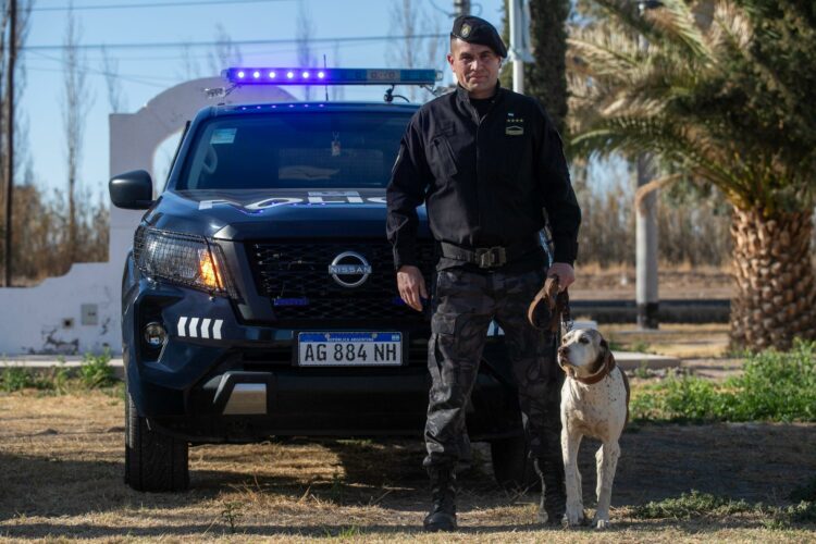Perros
