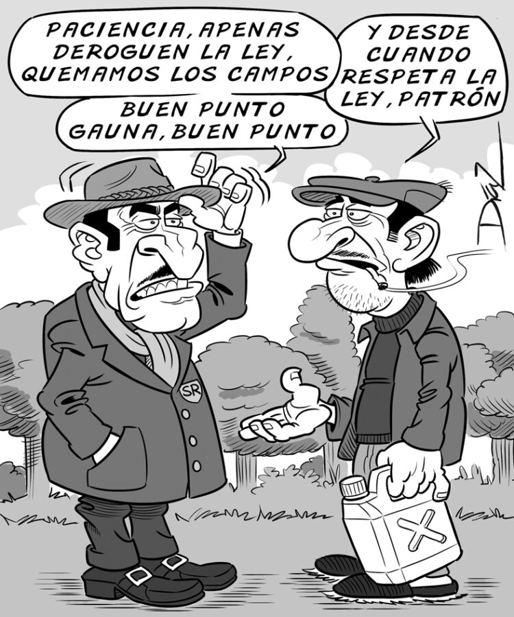 Díaz 29.07.2026