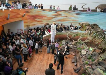 El Museo de Ciencias Naturales con entrada gratuita hasta el 27 de julio